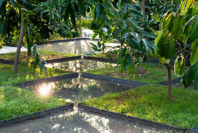 30 October / Radicepura Garden Festival
