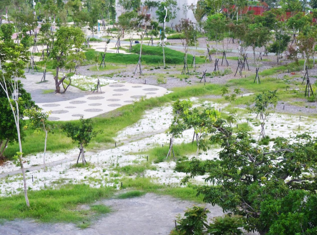Will It Pass or Not? Taichung Central Park and the “Trust Economy” in Taiwan