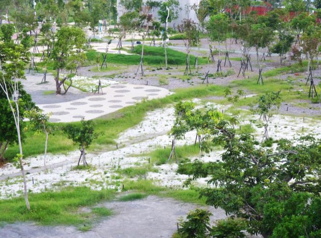 Will It Pass or Not? Taichung Central Park and the “Trust Economy” in Taiwan