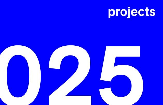 2025 Year in Review: Most Read Projects on Landezine
